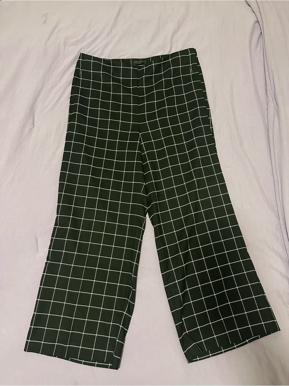 Women's Ann Taylor Grace Straight Pant in Windowpane